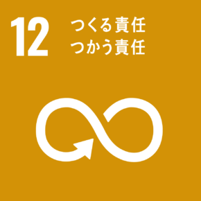 SDGs 12